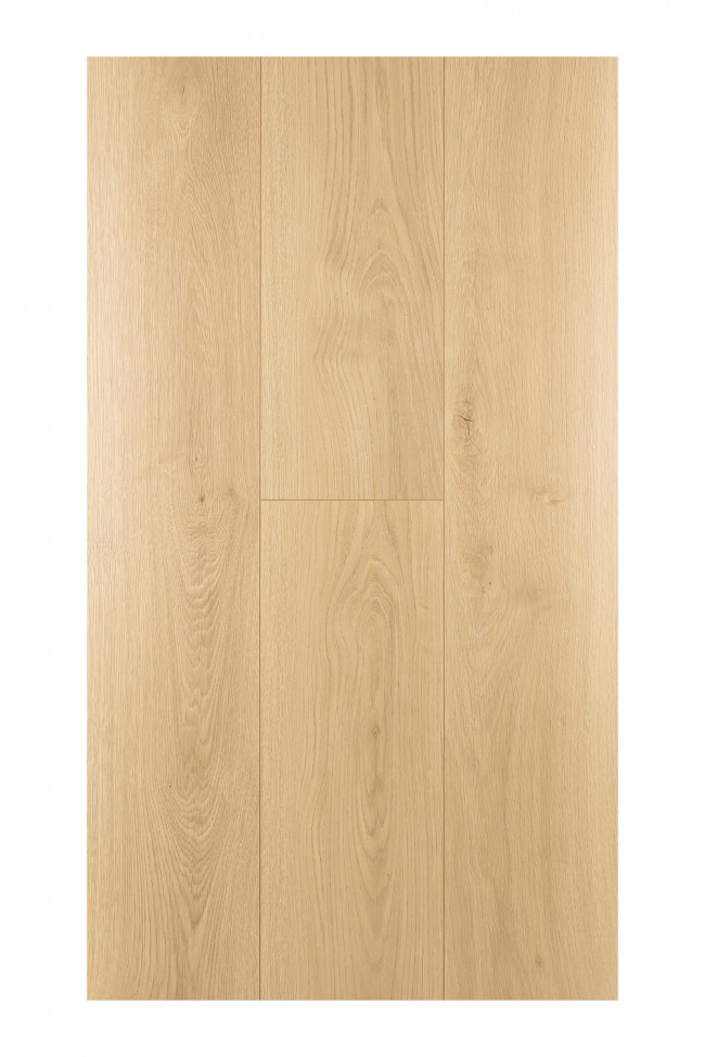 Дуб Валентия 1F301