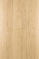 Дуб Валентия 1F301