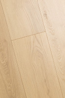 Дуб Валентия 1F301