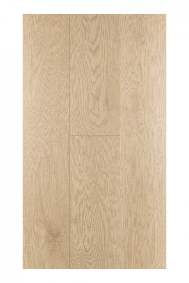 Дуб Софи 1F303