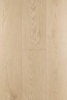 Дуб Софи 1F303