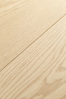 Дуб Софи 1F303