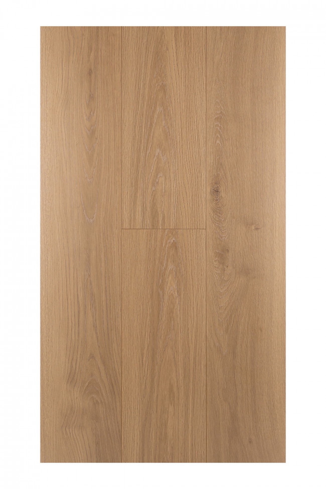 Дуб Опуленто 1F304