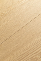 Дуб Этерния 1F307