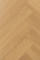 Английская ёлка дуб Аморе 1F310