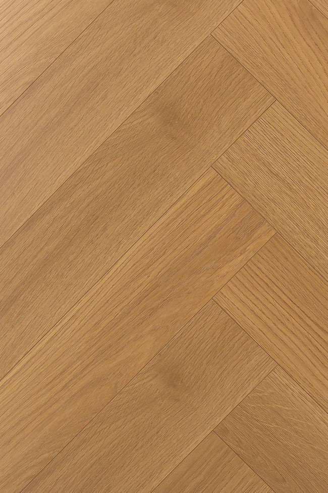 Английская ёлка дуб Кармен 1F311