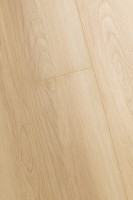 Дуб Веритэ 1F312