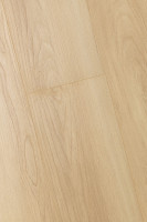 Дуб Веритэ 1F312