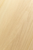 Дуб Пургрейн 1F313