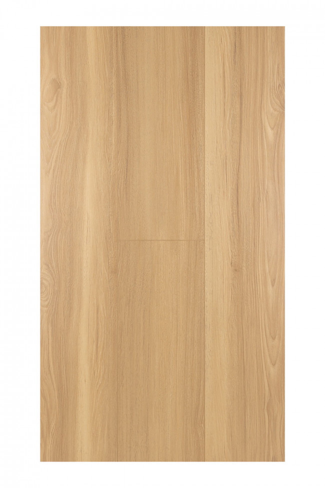 Дуб Кэндор 1F314