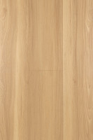 Дуб Кэндор 1F314