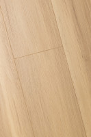 Дуб Кэндор 1F314