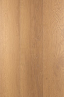 Дуб Джусто 1F316