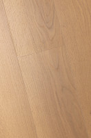 Дуб Джусто 1F316