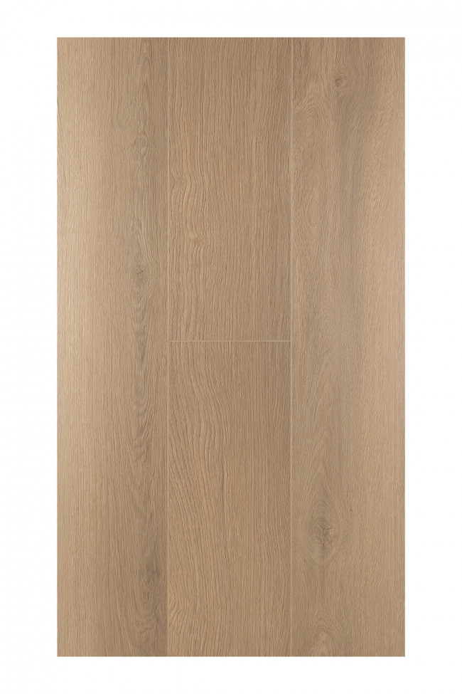 Дуб Констанция 1F319