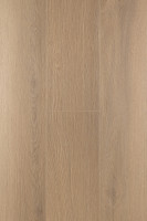 Дуб Констанция 1F319