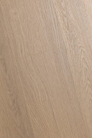 Дуб Констанция 1F319