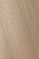 Дуб Констанция 1F319