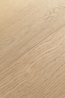 Дуб Констанция 1F319