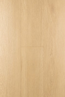 Дуб Пактум 1F320