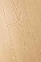 Дуб Гравитас 1F321