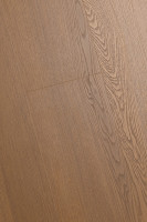 Дуб Солидис 1F323