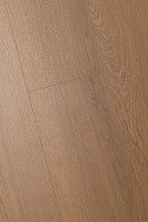 Дуб Солидис 1F323