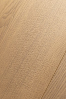 Дуб Аурис 1F324