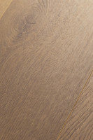 Дуб Виспел 1F325