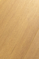 Дуб Апертус 1F328