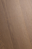 Дуб Хоризон 1F329