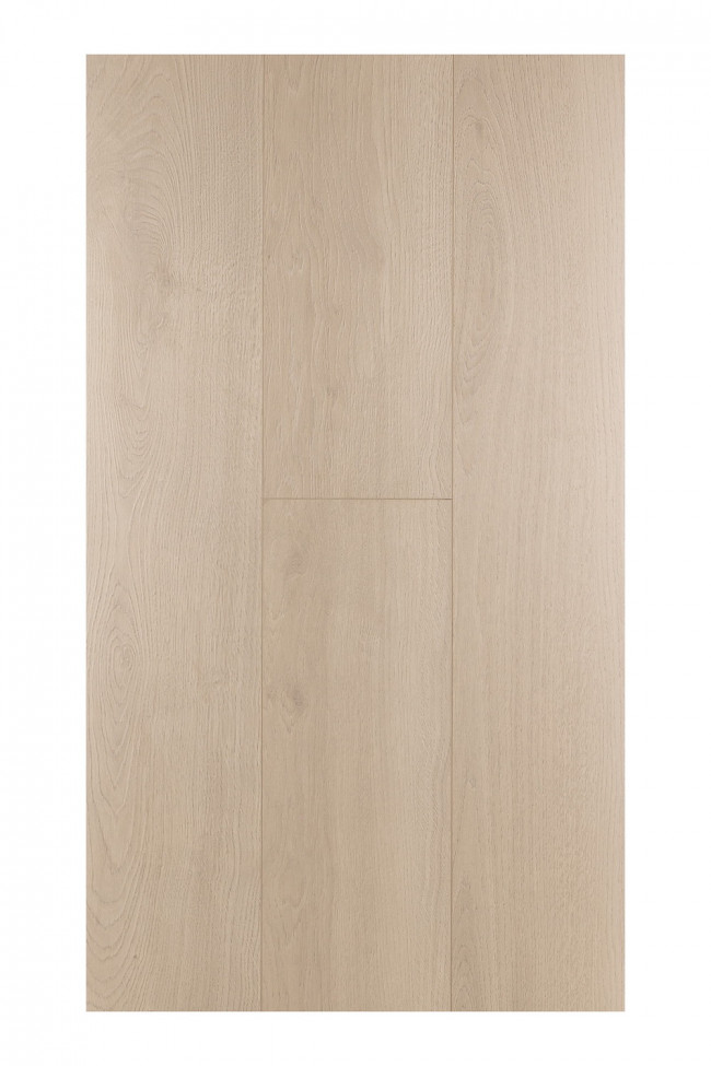 Дуб Домус 1F332