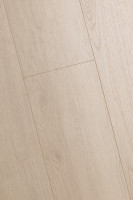 Дуб Домус 1F332