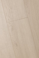 Дуб Домус 1F332