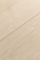 Дуб Домус 1F332