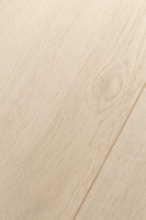 Дуб Домус 1F332