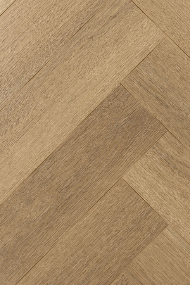 Английская ёлка дуб Констанция 1F335