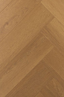 Английская ёлка дуб Хармоник 1F337