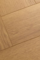 Английская ёлка дуб Хармоник 1F337