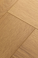 Английская ёлка дуб Хармоник 1F337