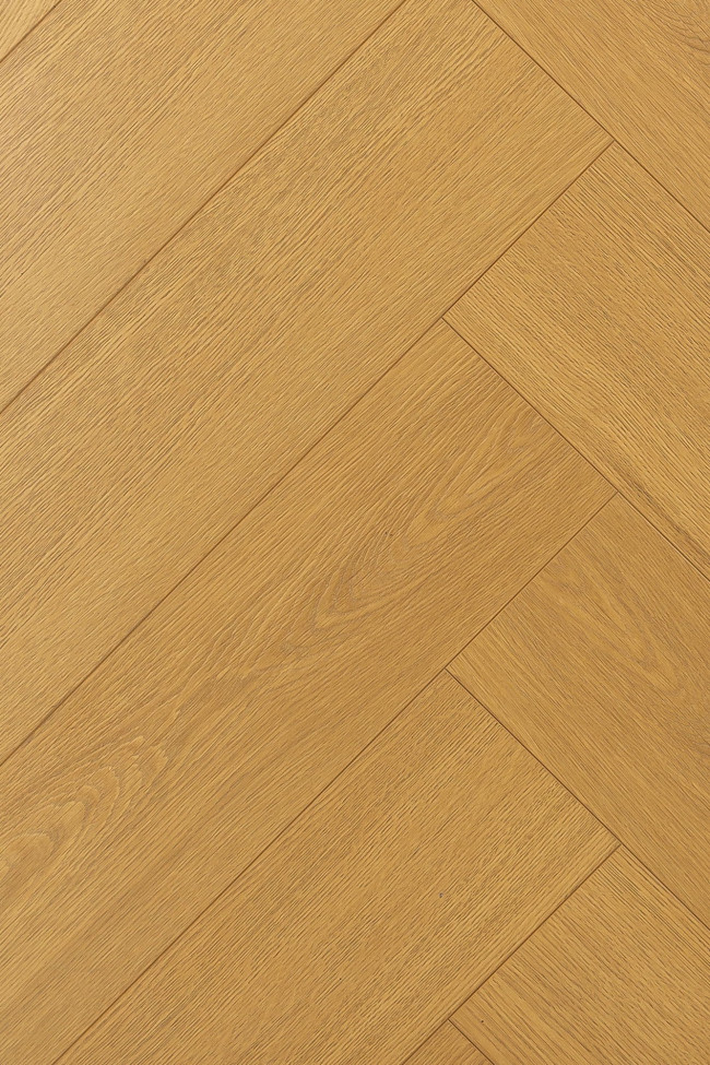 Английская ёлка дуб Элкат 1F340