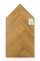 Английская ёлка дуб Апертус 1F344