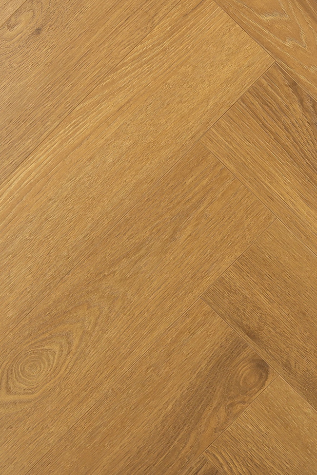 Английская ёлка дуб Апертус 1F344