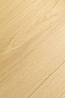 Дуб Калибра 1F401