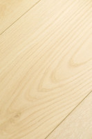 Дуб Бархано 1F402