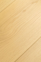 Дуб Лояль 1F403