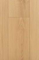 Дуб Атриум 1F404