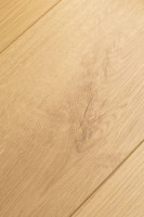 Дуб Атриум 1F404