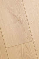 Дуб Атриум 1F404