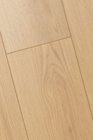 Дуб Атриум 1F404